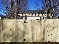<b>6 foot high Pressure Treated Privacy Fence with Fascia Board and Gate Trellis</b>